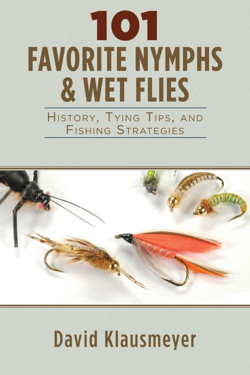 Cover of the book 101 Favorite Nymphs and Wet Flies by David Klausmeyer, Skyhorse