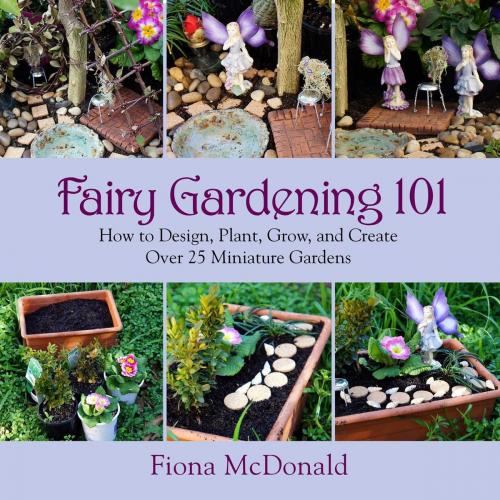 Cover of the book Fairy Gardening 101 by Fiona McDonald, Skyhorse