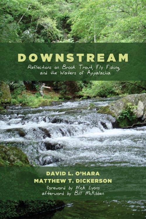 Cover of the book Downstream by David L. O’Hara, Matthew T. Dickerson, Wipf and Stock Publishers
