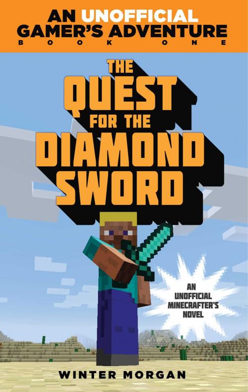 Cover of the book The Quest for the Diamond Sword by Winter Morgan, Sky Pony