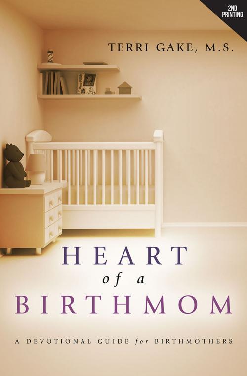 Cover of the book Heart of a Birthmom by Terri Gake, M.S., Redemption Press