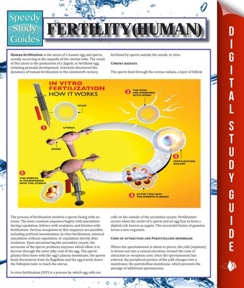 Cover of the book Fertility (Human) by Speedy Publishing, Speedy Publishing LLC