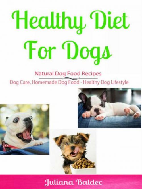 Cover of the book Healthy Diet for Dog: Natural Dog Food Recipes by Candal Wellington, Inge Baum