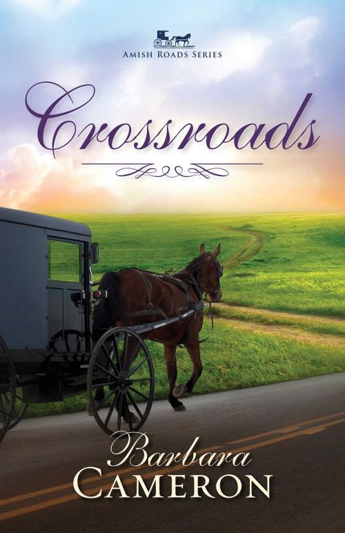 Cover of the book Crossroads by Barbara Cameron, Abingdon Fiction