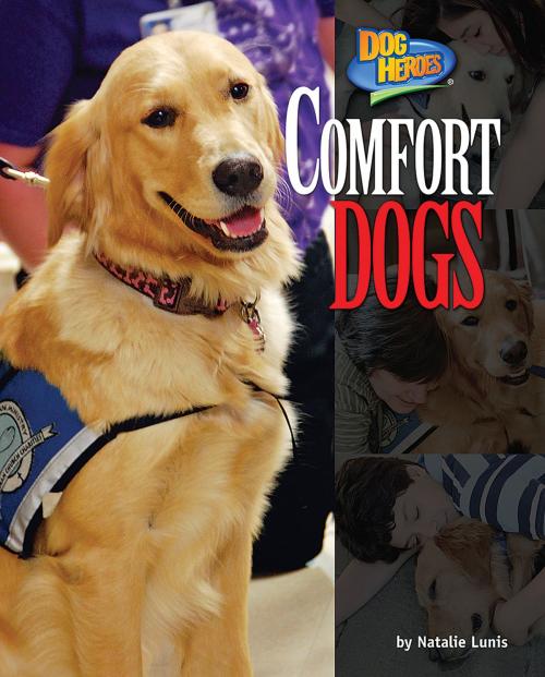 Cover of the book Comfort Dogs by Natalie Lunis, Bearport Publishing