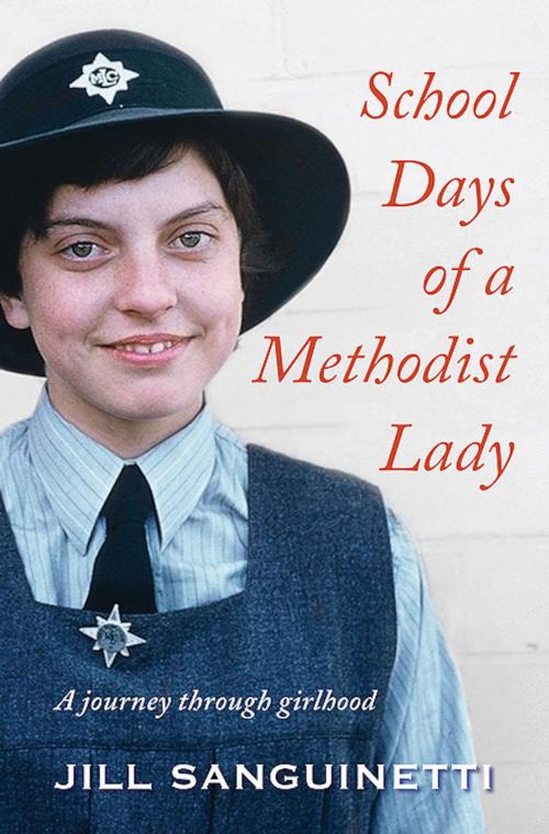 Cover of the book School Days of a Methodist Lady by Jill Sanguinetti, Wild Dingo Press