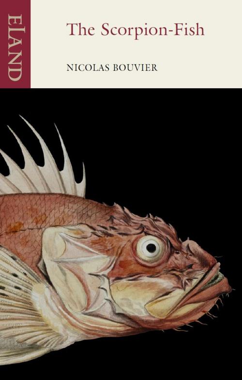 Cover of the book The Scorpion-Fish by Nicolas Bouvier, Eland Publishing