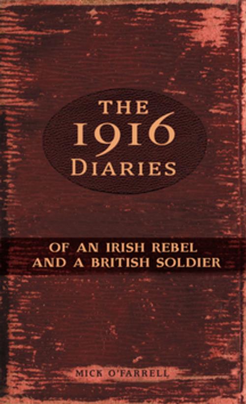 Cover of the book The 1916 Diaries of an Irish Rebel and a British Soldier by Mick O'Farrell, Mercier Press