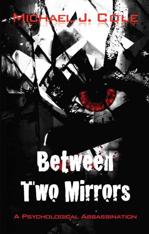 Cover of the book Between Two Mirrors by Michael J. Cole, Grosvenor House Publishing