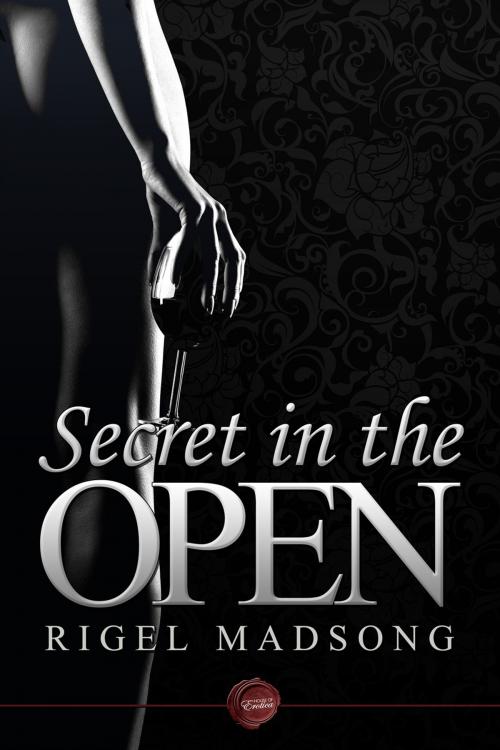 Cover of the book Secret in the Open by Rigel Madsong, Andrews UK
