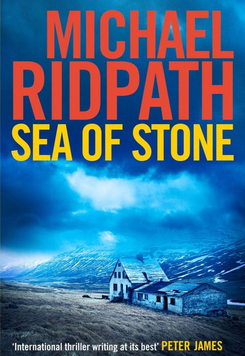 Cover of the book Sea of Stone by Michael Ridpath, Atlantic Books