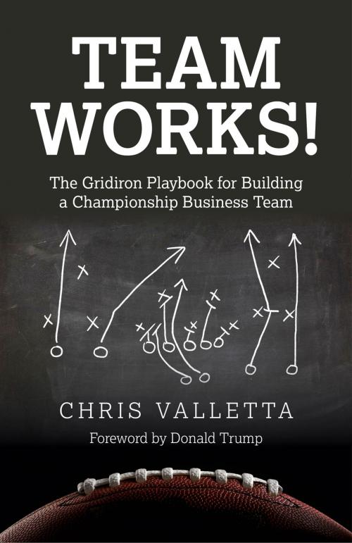 Cover of the book Team WORKS! by Chris Valletta, John Hunt Publishing