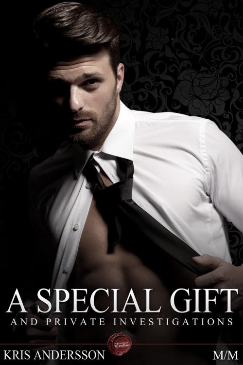 Cover of the book A Special Gift and Private Investigations by Kris Andersson, Andrews UK