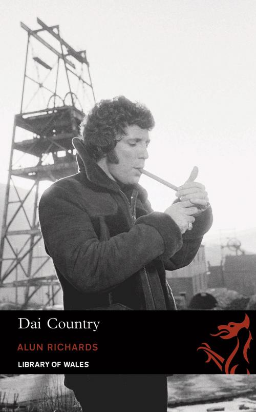 Cover of the book Dai Country by Alun Richards, Parthian Books