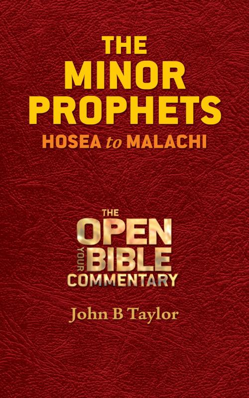 Cover of the book The Minor Prophets by John B. Taylor, Creative 4 International