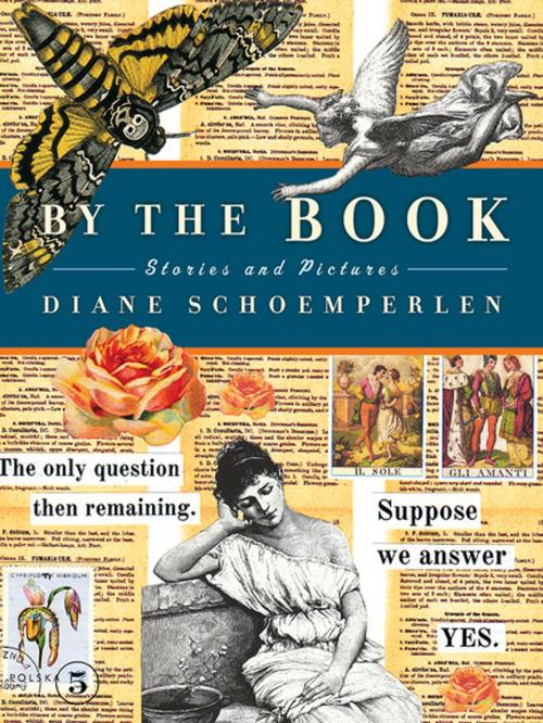 Cover of the book By The Book by Diane Schoemperlen, Biblioasis