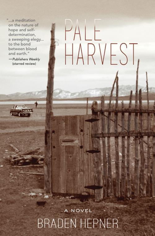 Cover of the book Pale Harvest by Braden Hepner, Torrey House Press