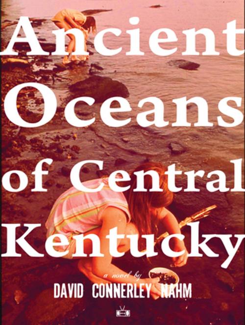 Cover of the book Ancient Oceans of Central Kentucky by David Connerley Nahm, Two Dollar Radio