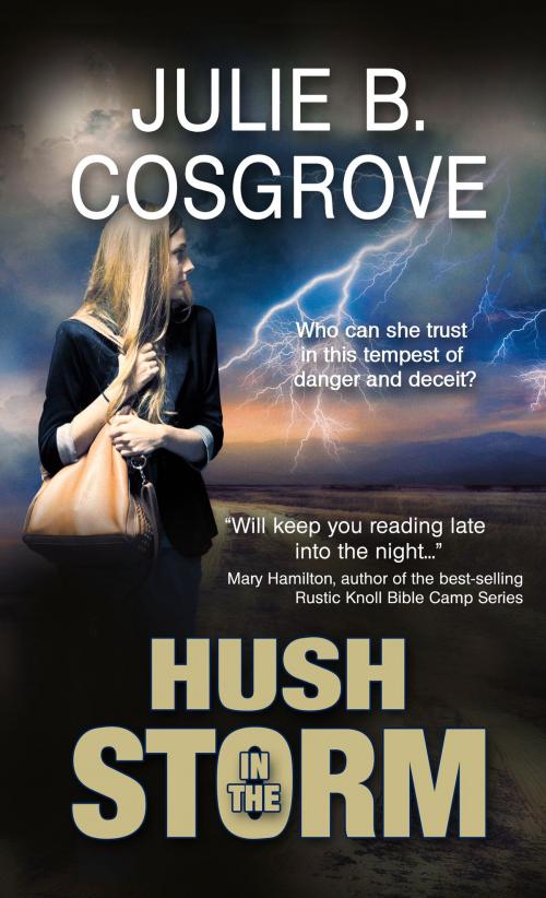 Cover of the book Hush in the Storm by Julie B Cosgrove, Pelican Book Group