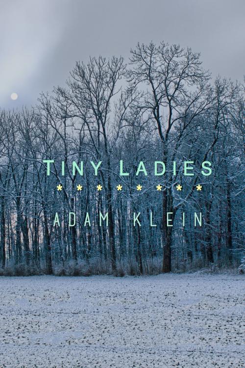Cover of the book Tiny Ladies by Adam Klein, Dzanc Books