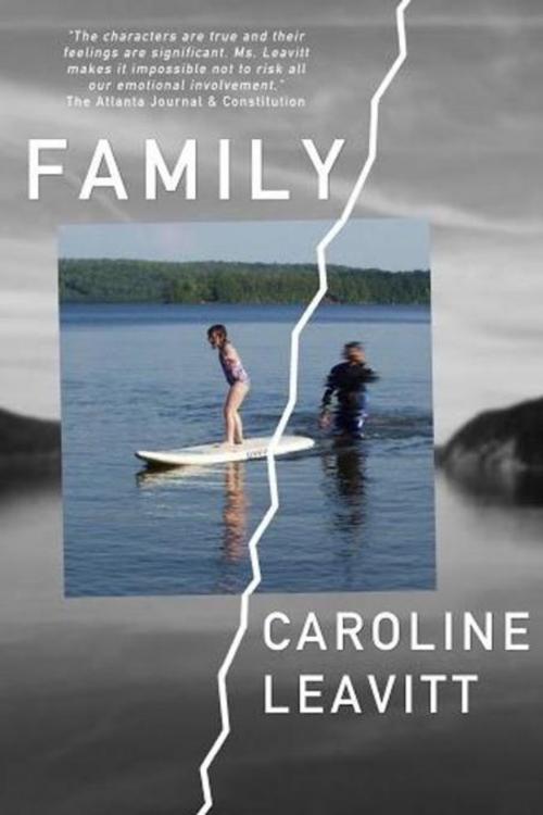 Cover of the book Family by Caroline Leavitt, Dzanc Books