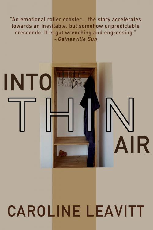Cover of the book Into Thin Air by Caroline Leavitt, Dzanc Books