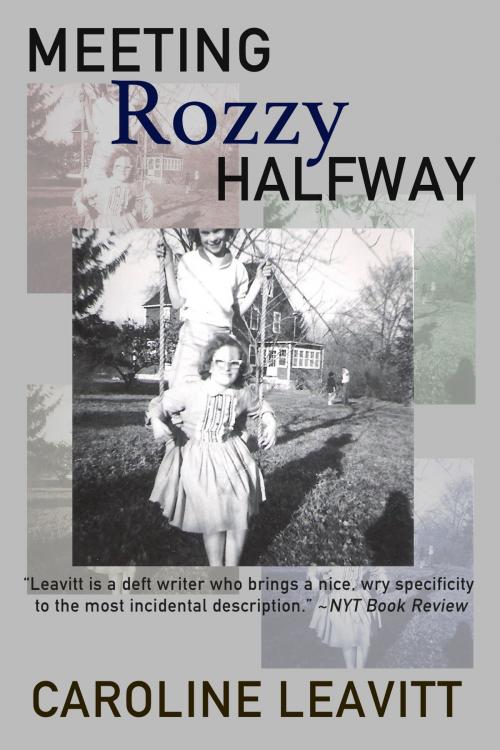 Cover of the book Meeting Rozzy Halfway by Caroline Leavitt, Dzanc Books