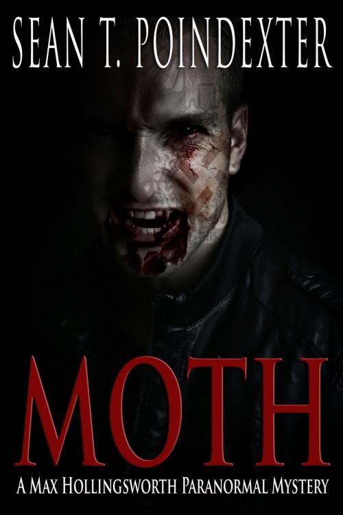Cover of the book Moth by Sean T. Poindexter, Ellysian Press