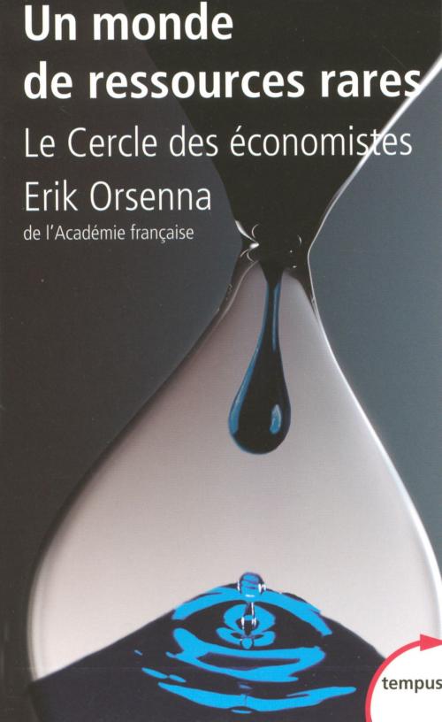 Cover of the book Un monde de ressources rares by LE CERCLE DES ÉCONOMISTES, Erik ORSENNA, Place des éditeurs