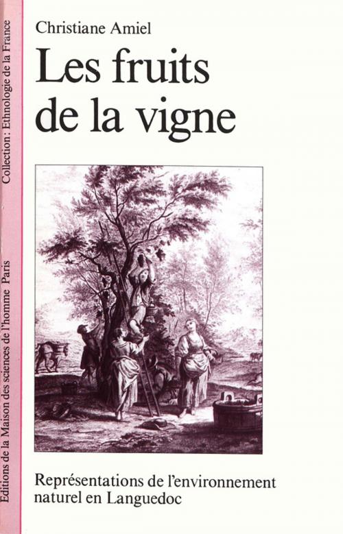 Cover of the book Les fruits de la vigne by Christiane Amiel, Éditions de la Maison des sciences de l’homme