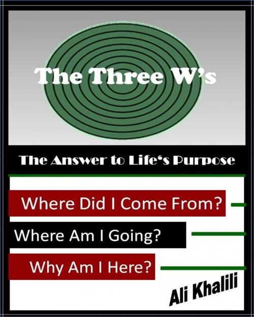 Cover of the book The Three W's by ali khalili, Osmora Inc.
