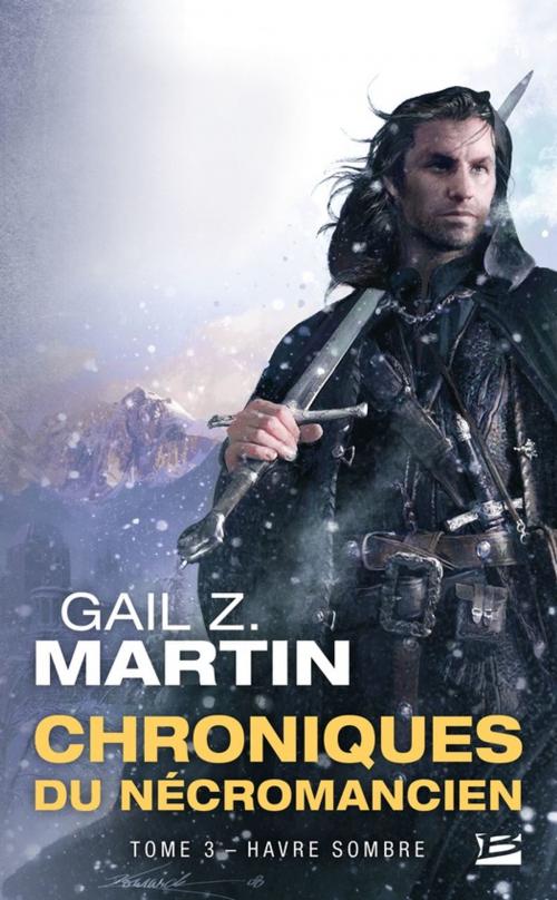 Cover of the book Havre Sombre by Gail Z. Martin, Bragelonne