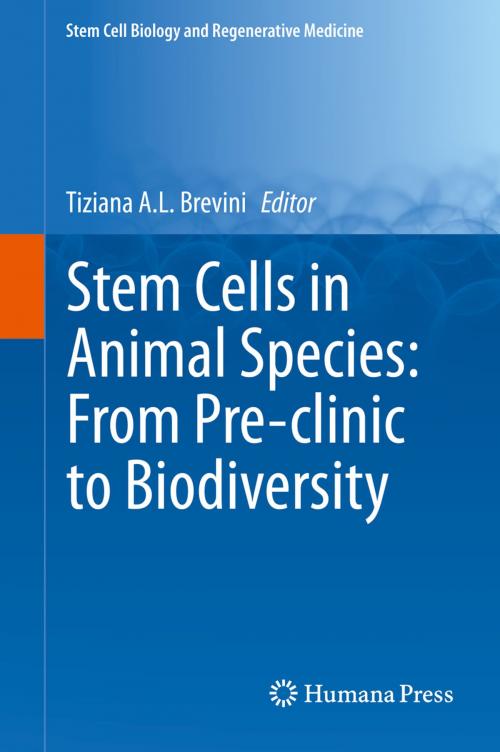 Cover of the book Stem Cells in Animal Species: From Pre-clinic to Biodiversity by , Springer International Publishing