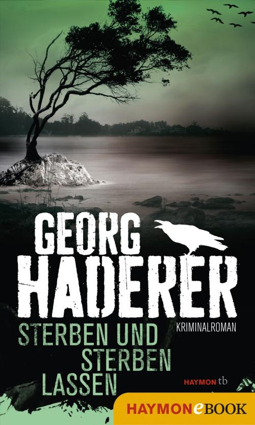 Cover of the book Sterben und sterben lassen by Georg Haderer, Haymon Verlag