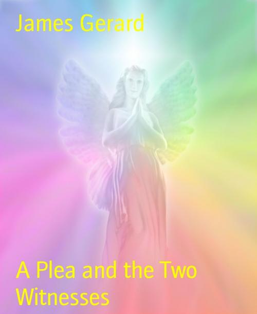 Cover of the book A Plea and the Two Witnesses by James Gerard, BookRix
