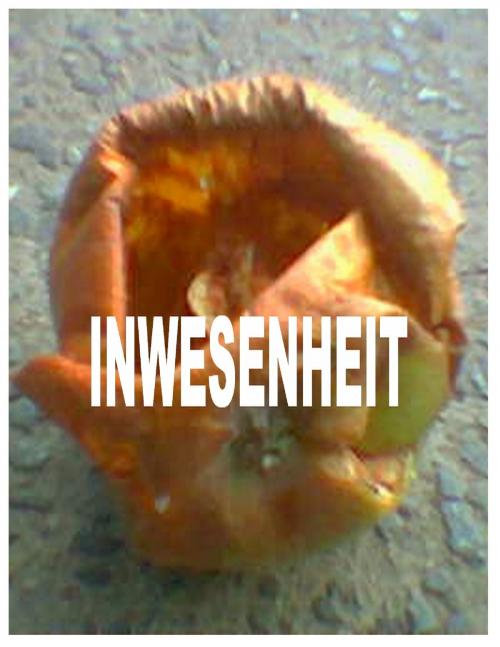 Cover of the book Inwesenheit by Tom De Toys, Books on Demand