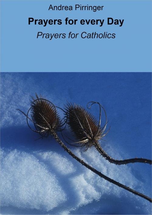 Cover of the book Prayers for every Day by Andrea Pirringer, neobooks
