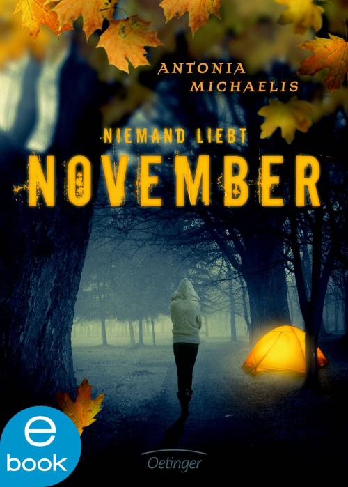 Cover of the book Niemand liebt November by Antonia Michaelis, Verlag Friedrich Oetinger