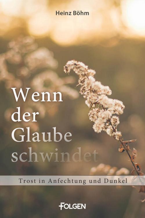 Cover of the book Wenn der Glaube schwindet by Heinz Böhm, Folgen Verlag