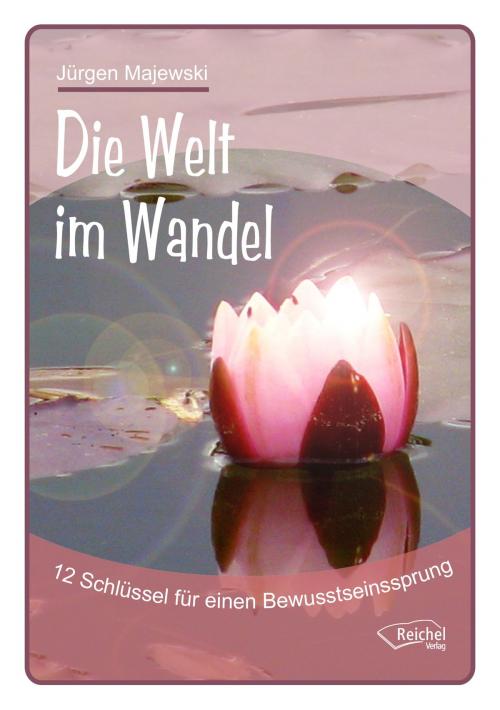 Cover of the book Die Welt im Wandel by Jürgen Majewski, Reichel Verlag