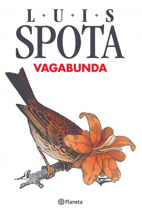 Cover of the book Vagabunda by Luis Spota, Grupo Planeta - México