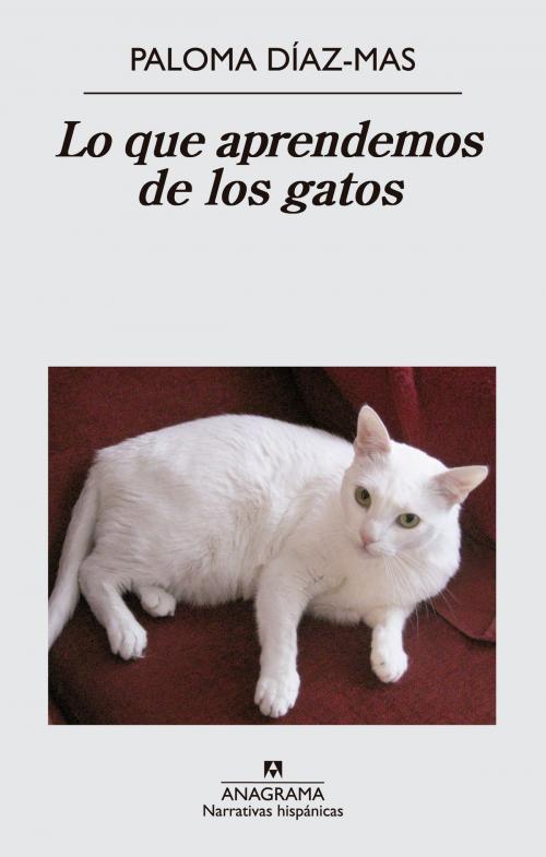 Cover of the book Lo que aprendemos de los gatos by Paloma Díaz-Mas, Editorial Anagrama