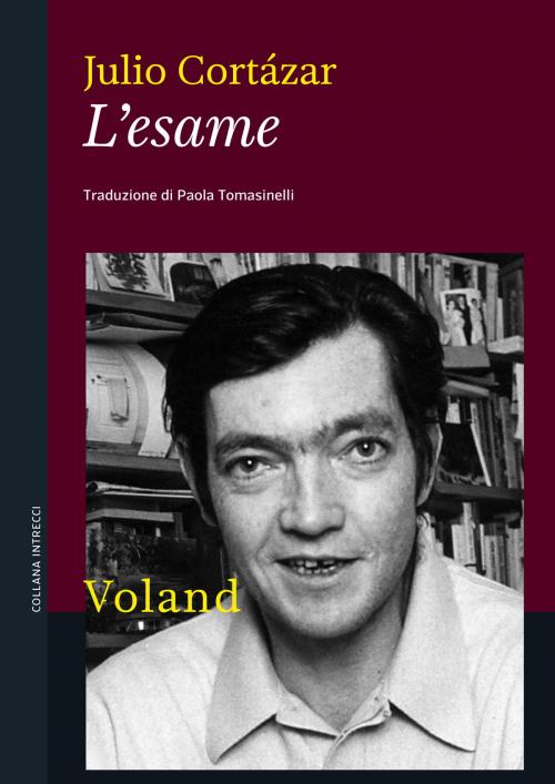 Cover of the book L'esame by Julio Cortázar, Voland