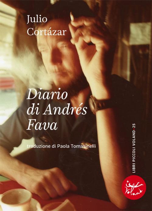 Cover of the book Diario di Andrés Fava by Julio Cortázar, Voland