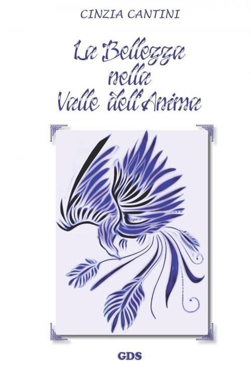 Cover of the book La bellezza nella valle dell'anima by Cinzia Cantini, editrice GDS