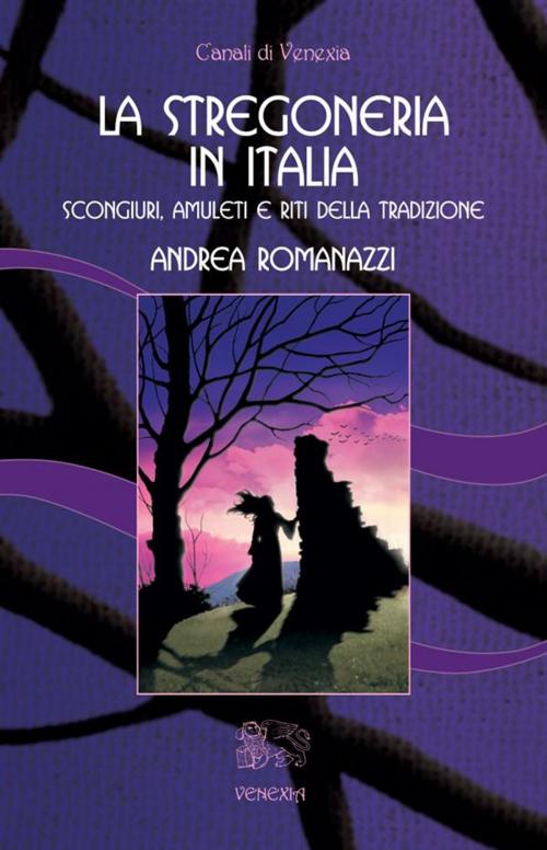 Cover of the book La Stregoneria in Italia by Andrea Romanazzi, Venexia