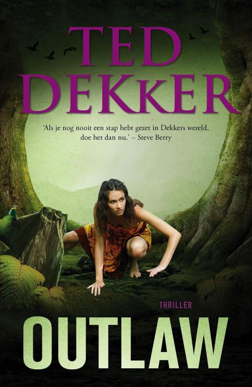 Cover of the book Outlaw by Ted Dekker, VBK Media