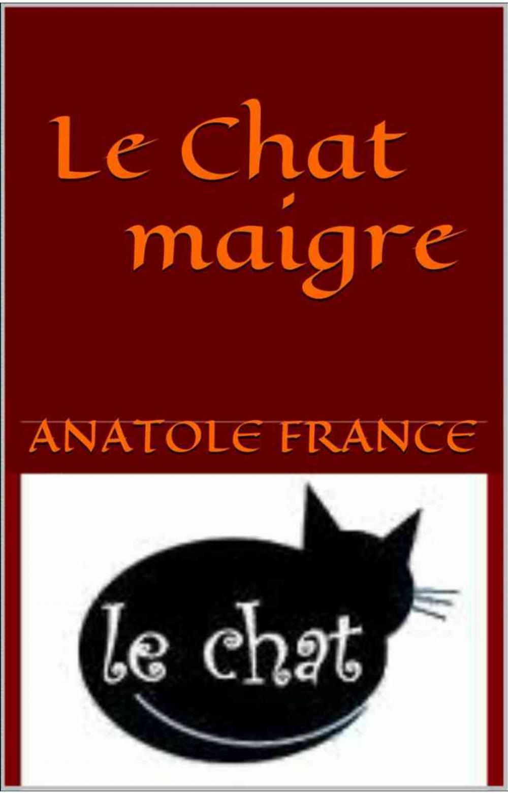 Big bigCover of Le Chat maigre
