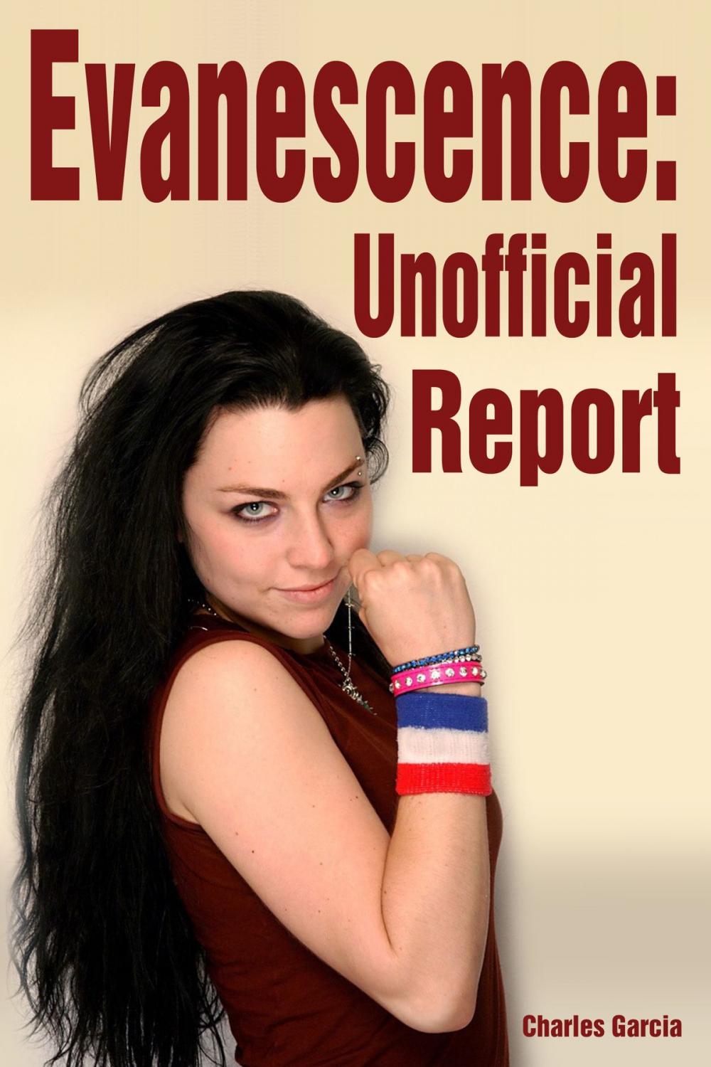 Big bigCover of Evanescence: Unofficial Report
