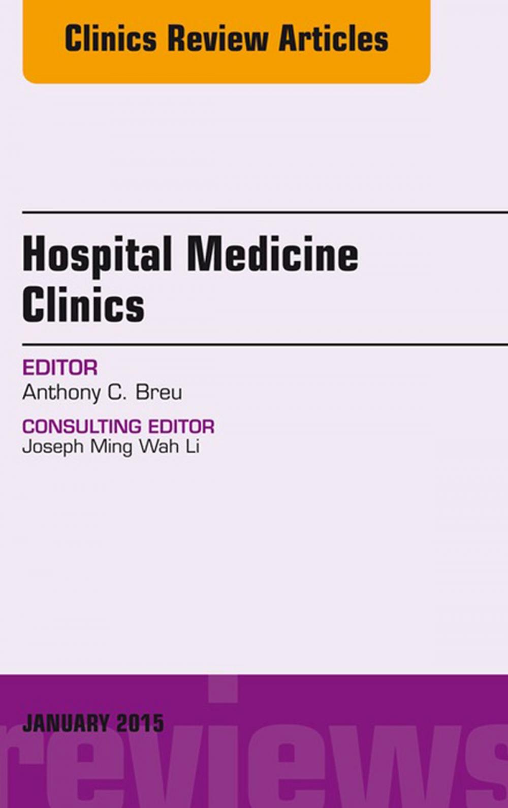 Big bigCover of Volume 4, Issue 1, An Issue of Hospital Medicine Clinics